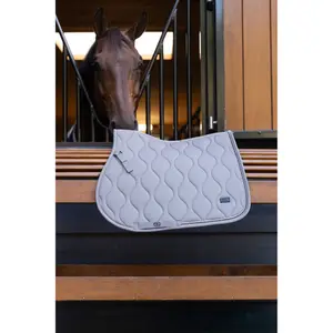 Jumping Saddle Pad BR Equitation Eevolv Louise GP image-3