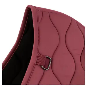 Jumping Saddle Pad BR Equitation Eevolv Louise GP image-2