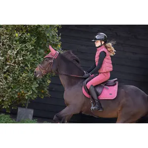 Jumping Saddle Pad BR Equitation Eevolv Louise GP image-3
