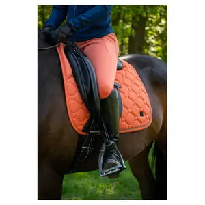 Σαμάρι ιππασίας BR Equitation Knox image-2