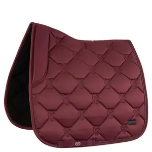 Σαμάρι ιππασίας BR Equitation Eevolv Kato image-0