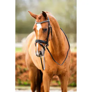 Anatomical riding bridle BR Equitation Hexham image-3