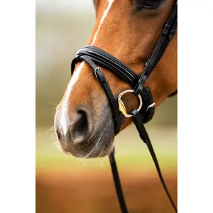 Anatomical riding bridle BR Equitation Hexham image-4