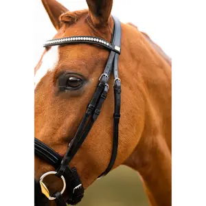 Anatomical riding bridle BR Equitation Hexham image-5