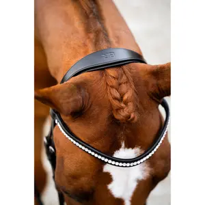 Anatomical riding bridle BR Equitation Hexham image-6