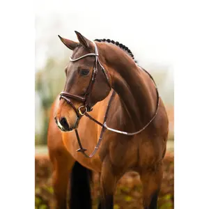 Bridão de equitación anatómico BR Equitation Shildon image-3