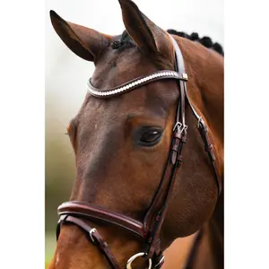 Bridão de equitación anatómico BR Equitation Shildon image-4