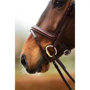 Bridão de equitación anatómico BR Equitation Shildon image-5