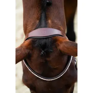 Bridão de equitación anatómico BR Equitation Shildon image-6