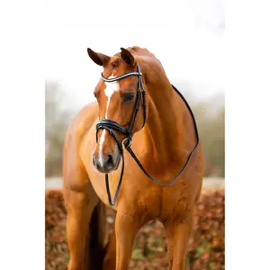 Bridão de equitación anatómico BR Equitation Stockport image-4