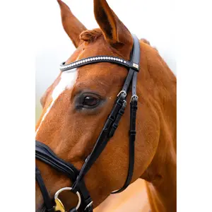 Bridão de equitación anatómico BR Equitation Stockport image-5