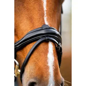 Bridão de equitación anatómico BR Equitation Stockport image-6