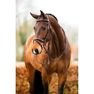 Anatomical riding bridle BR Equitation Shepshed image-3