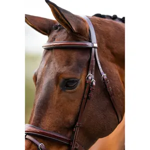 Anatomical riding bridle BR Equitation Shepshed image-6