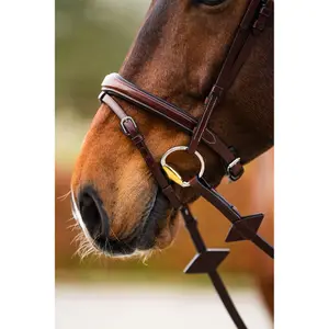 Anatomical riding bridle BR Equitation Shepshed image-4