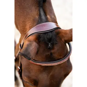 Anatomical riding bridle BR Equitation Shepshed image-5