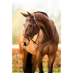 Anatomical riding bridle BR Equitation Salcombe image-3