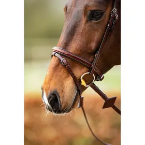 Anatomical riding bridle BR Equitation Salcombe image-4