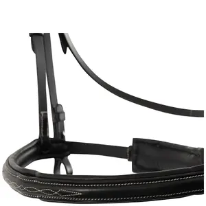 Anatomical riding bridle BR Equitation Sunderland image-3