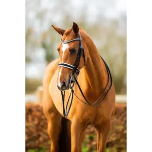 Bridão de equitación anatómico BR Equitation Heywood image-3