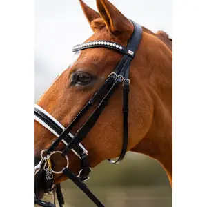 Bridão de equitación anatómico BR Equitation Heywood image-4