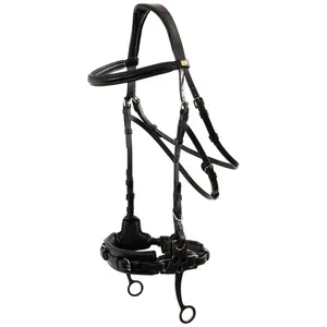 Anatomical Bitless Bridle for Horse BR Equitation Thornbury