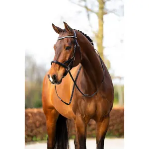 Bridão de equitación anatómico BR Equitation Thaxted image-3