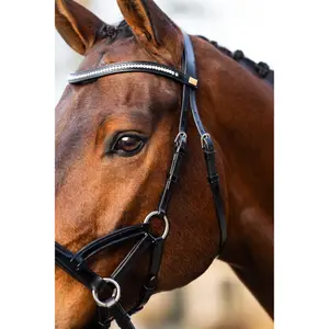 Bridão de equitación anatómico BR Equitation Thaxted image-4
