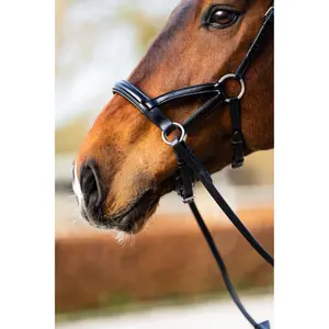 Bridão de equitación anatómico BR Equitation Thaxted image-5