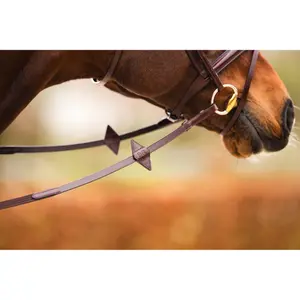 Leren teugel voor paard in leren band BR Equitation image-3