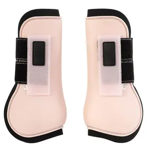 Ψύκτες για πόδια αλόγου BR Equitation Eevolv Tendon Kingston image-0