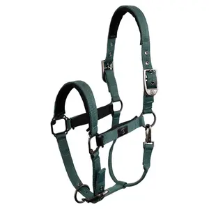 Halter for horse BR Equitation CLX image-2