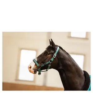 Halter for horse BR Equitation CLX image-3