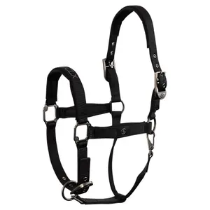 Halter for horse BR Equitation CLX image-4