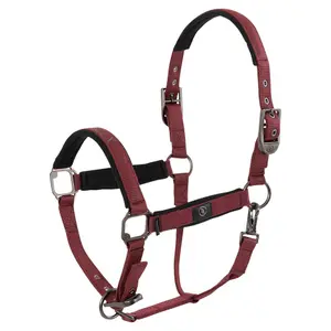 Καπίστρι για άλογο BR Equitation CLX image-0