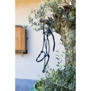 Licol pour cheval BR Equitation Lore image-1