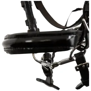 Hobby Horse Riding Bridle BR Equitation image-1