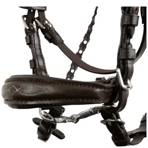 Hobby Horse Riding Bridle BR Equitation image-1
