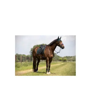 Sattelunterlage für Pferde BR Equitation Event Cooldry image-1