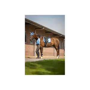 Mantilla equitación BR Equitation Event Cooldry image-1