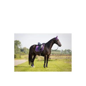 product/b/r/br-equitation_163018-p082-850_grape-royal-violet_3.jpg