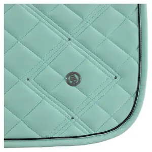 Sella versatile per cavalli BR Equitation Eevolv Eden image-1
