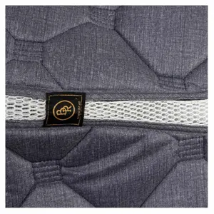 Mantilla equitación de doma  BR Equitation Airflow Sublime image-1