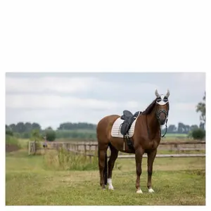 Czaprak ujeżdżeniowy dla koni BR Equitation Glamour Chic image-1