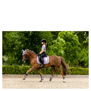 Esteira de dressage para cavalos BR Equitation 4-EH Cecilia image-2