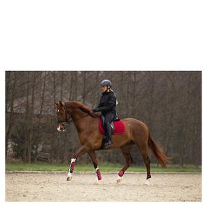 Dressurunderlag til hest BR Equitation Ace Flow image-1