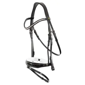 Engelska kombinerade ridträns BR Equitation Ipswich image-0