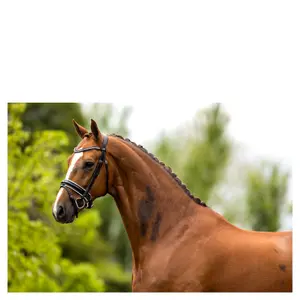 Cabezadas anatómicas BR Equitation Eston image-2