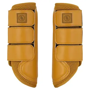 Stivali da cavallo chiusi BR Equitation Majestic Edgar image-0