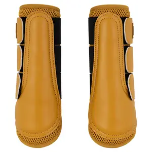 Stivali da cavallo chiusi BR Equitation Majestic Edgar image-1